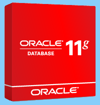 СУБД Oracle Database 11g